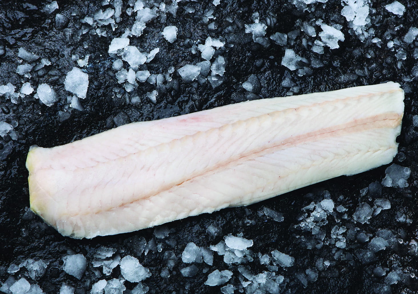 Miruna nowozelandzka filet bez skóry 1kg